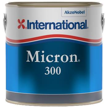 micron-300-international