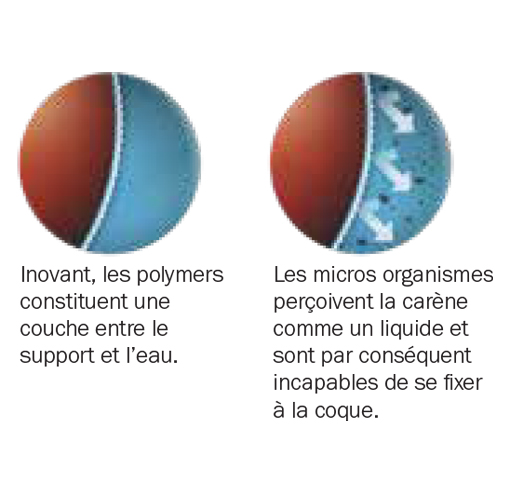 hydrogel